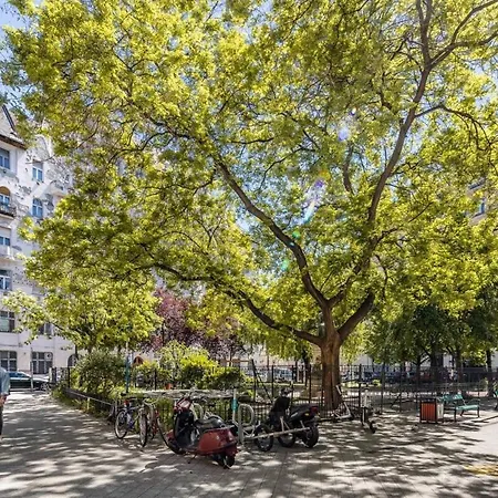 - Quiet Sleep For Solo Traveller *